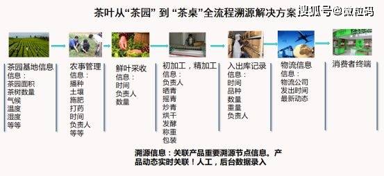 澳门一码一码100准确挂牌,前瞻现象解答探讨解释_灵活款8.734