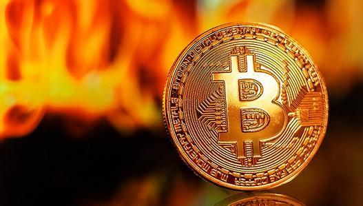 揭秘太岁最新收购价，初学者与进阶用户指南（附最新收购价格）
