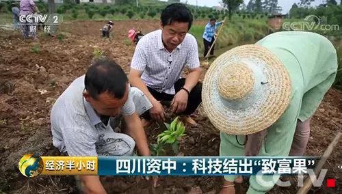 某某视角下的最新养蛇技术探讨，11月5日更新