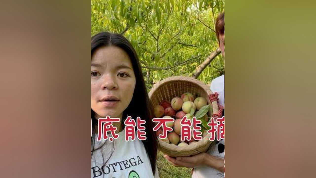 温馨日常的欢乐时光，最新梅子视频11月独家呈现