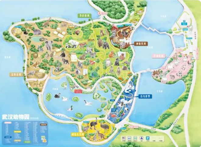 香市动物园本月更新亮点全面解读，特性、体验、竞品对比及深度用户分析