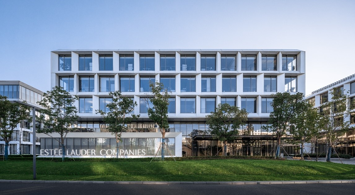 中南中心建设新篇章，最新进展及其多维度影响分析