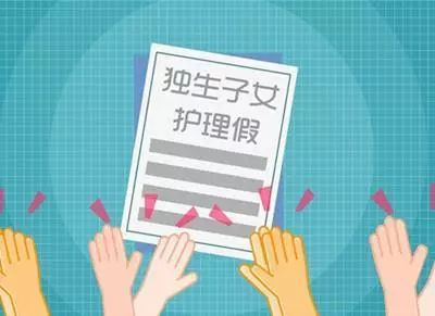 11月20日爱情宝卫站最新一期深度解析与介绍