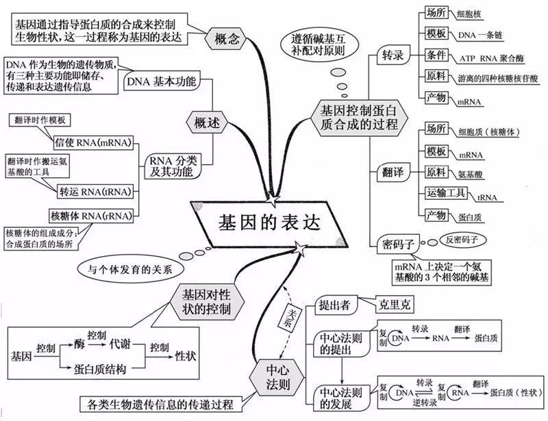 11月20日动物笑话产品评测与介绍，最新动物笑话一览