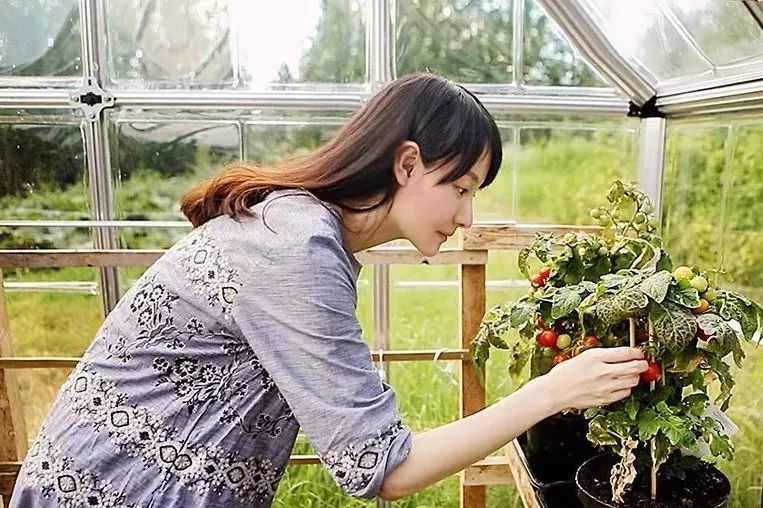 乔妹的十一月自然美景之旅，内心的宁静与笑声的追寻