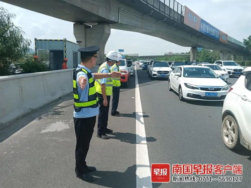 线下采集 第259页