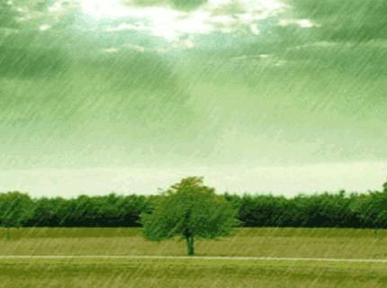 回忆绵绵，秋雨不断，情感深处的故事