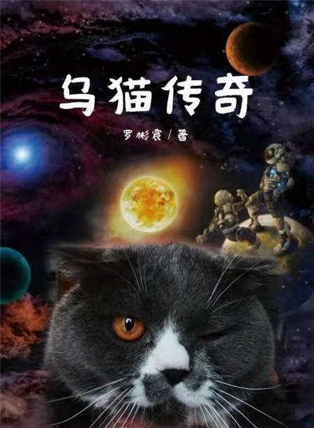 问卷 第211页