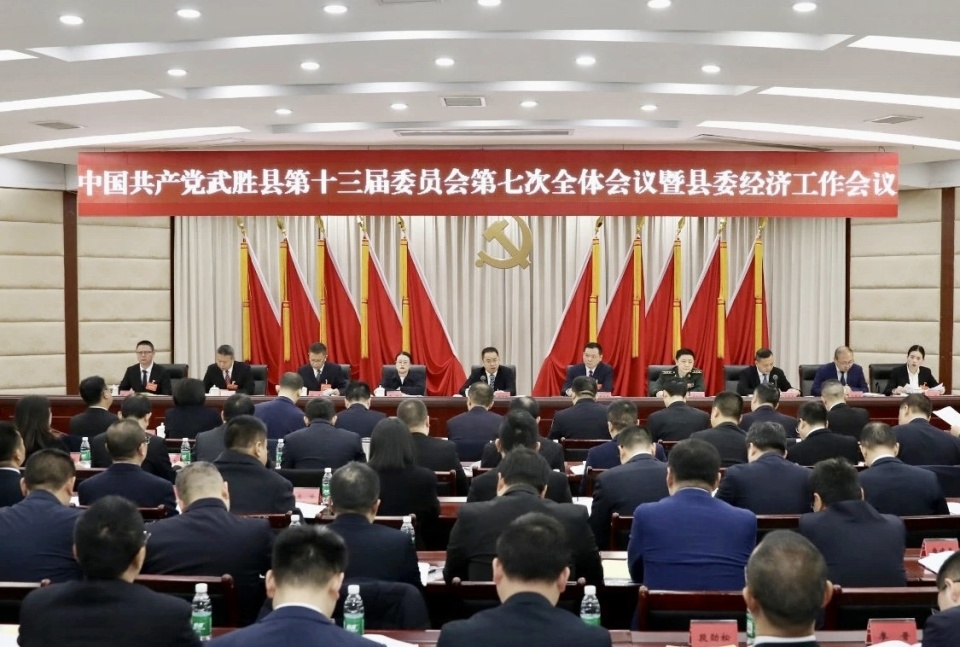武胜路，城市更新与社会变革交汇点，经济发展新闻头条