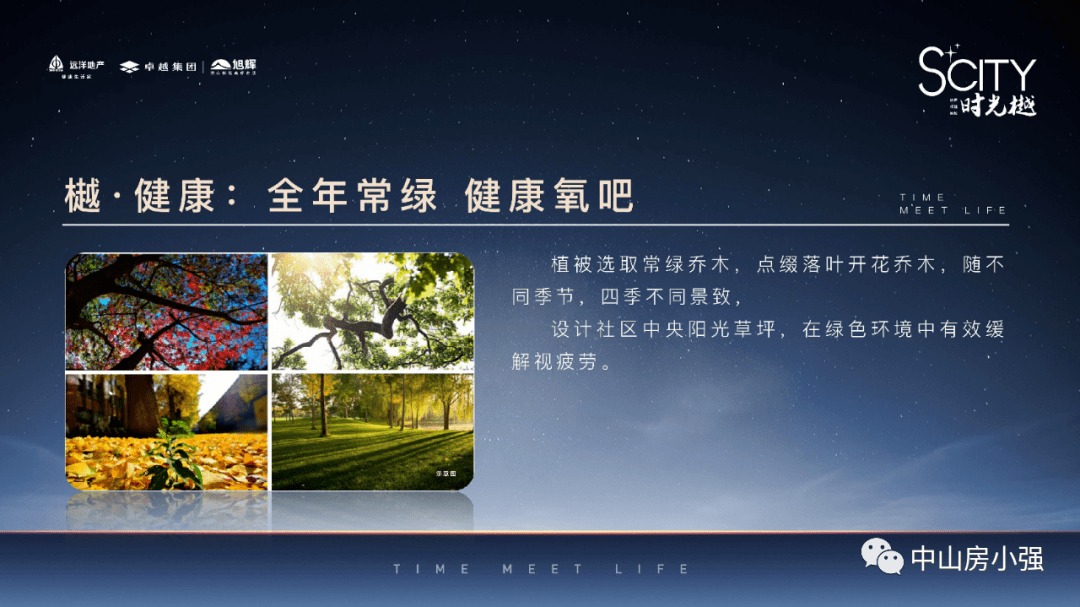 渤海观海指南，最新看海攻略全解析