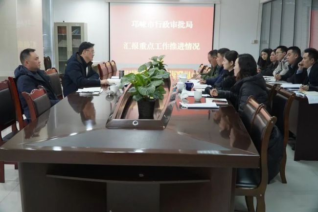 副市长专题督导，推动城市治理现代化进程，打造智慧城市新篇章