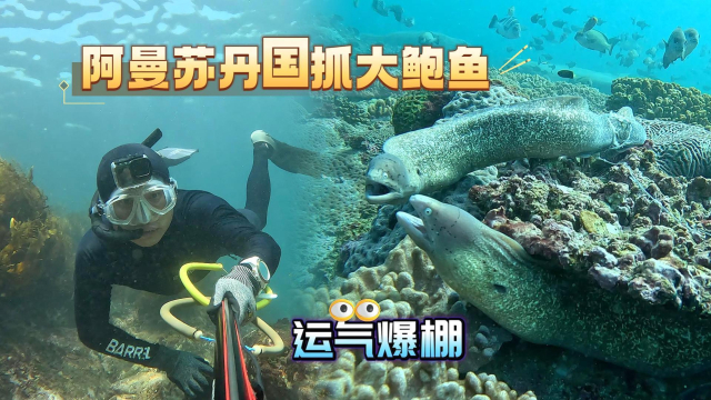 揭秘蓝色海洋新闻头条，探索神秘海域，守护蓝色宝藏的珍贵之旅