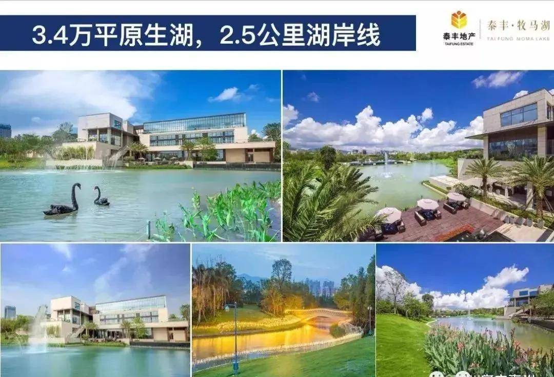 南交官方最新动态揭秘，今日消息抢先看！