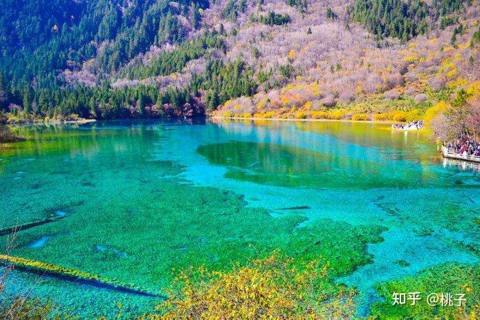 冬日九寨沟景区实时天气与心灵宁静之旅