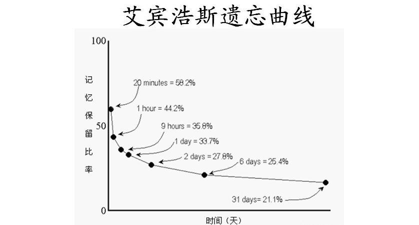 英语专项落实策略，提升语言能力的核心路径