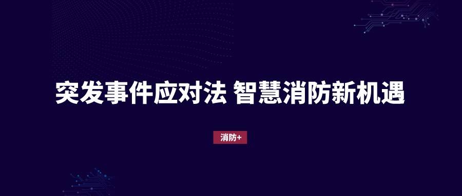杭州公共突发事件应对与管理策略揭秘，保障城市安全的智慧之道