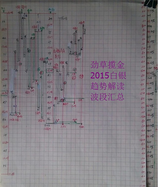 毛葱今日价格及市场走势深度解析，最新动态与影响因素全知道