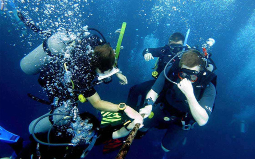 北海潜水探秘，全方位攻略助你畅游海底世界！