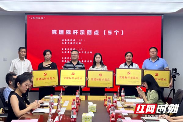 评选优秀党员专题会议，树立标杆，激发党员活力