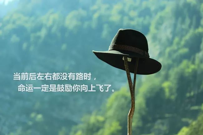 生活感悟励志语录，霸气侧漏，激励你我前行