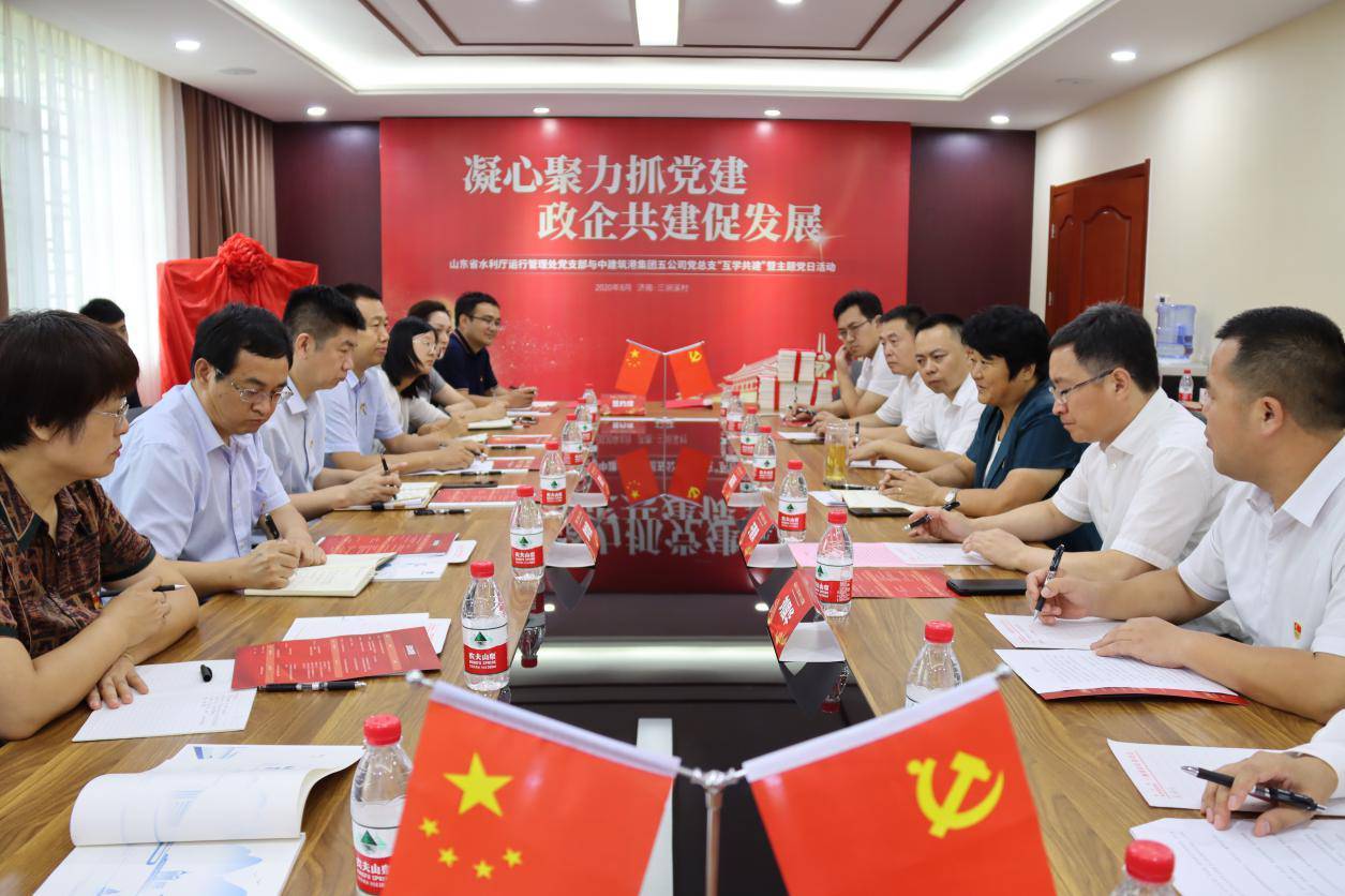 政企携手共进，共筑发展新篇章，深化合作交流开启新篇章