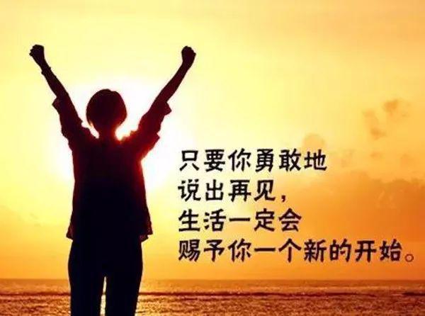 团队同行，携手共创辉煌，励志语录启示心灵之路